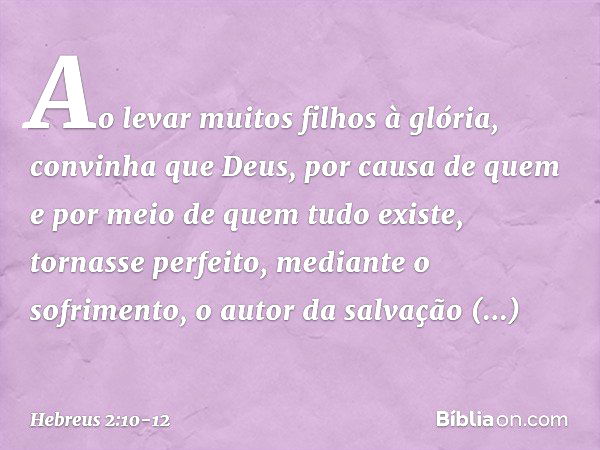 Ao levar muitos filhos à glória, convinha que Deus, por causa de quem e por meio de quem tudo existe, tornasse perfeito, mediante o sofrimento, o autor da salva