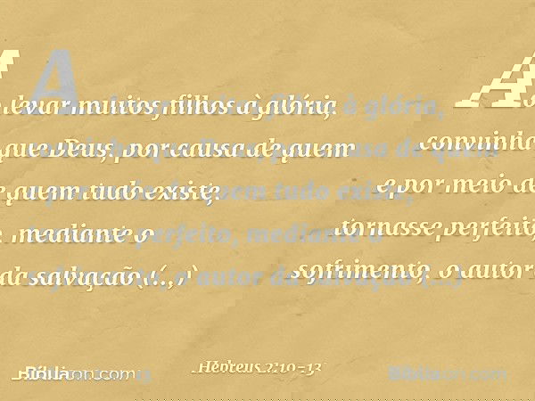 Ao levar muitos filhos à glória, convinha que Deus, por causa de quem e por meio de quem tudo existe, tornasse perfeito, mediante o sofrimento, o autor da salva