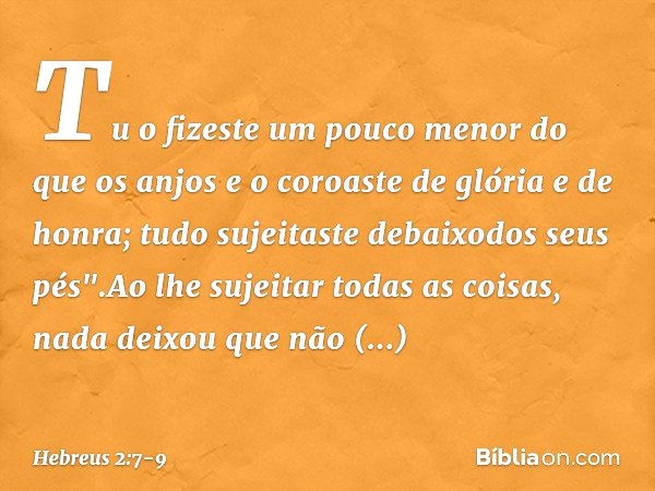 Tu o fizeste um pouco menor
do que os anjos
e o coroaste de glória e de honra; tudo sujeitaste debaixodos seus pés".Ao lhe sujeitar todas as coisas, nada deixou