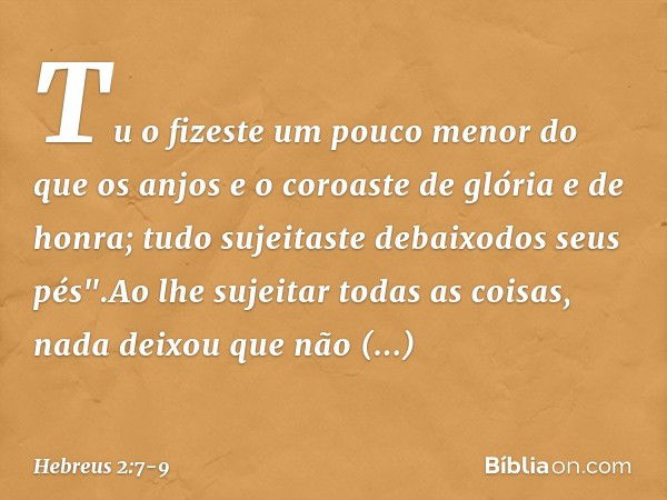 Tu o fizeste um pouco menor
do que os anjos
e o coroaste de glória e de honra; tudo sujeitaste debaixodos seus pés".Ao lhe sujeitar todas as coisas, nada deixou