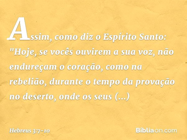 Assim, como diz o Espírito Santo:
"Hoje, se vocês ouvirem
a sua voz, não endureçam o coração,
como na rebelião,
durante o tempo da provação no deserto, onde os 