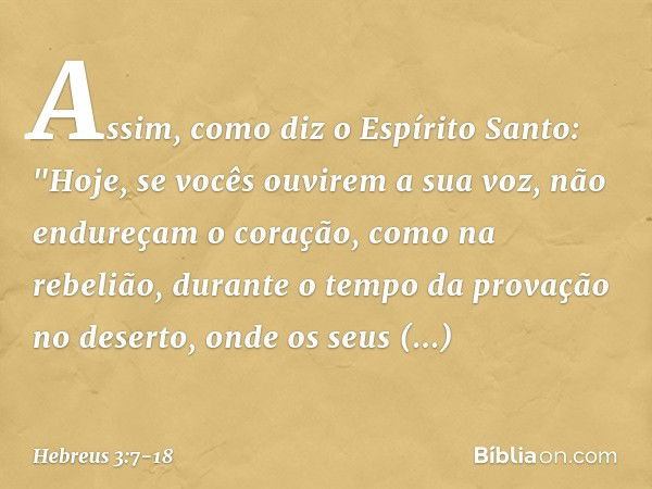 Assim, como diz o Espírito Santo:
"Hoje, se vocês ouvirem
a sua voz, não endureçam o coração,
como na rebelião,
durante o tempo da provação no deserto, onde os 