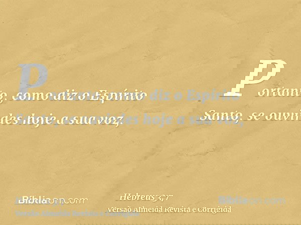 Portanto, como diz o Espírito Santo, se ouvirdes hoje a sua voz,