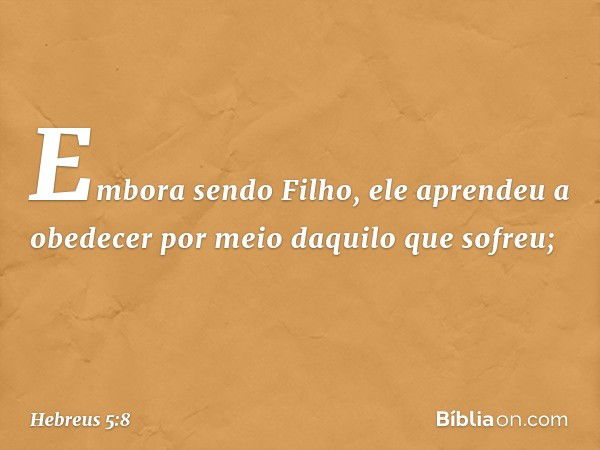 Embora sendo Filho, ele aprendeu a obedecer por meio daquilo que sofreu; -- Hebreus 5:8