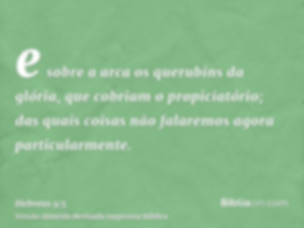 e sobre a arca os querubins da glória, que cobriam o propiciatório; das quais coisas não falaremos agora particularmente.