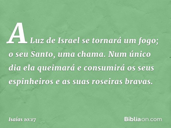 A Luz de Israel se tornará um fogo;
o seu Santo, uma chama.
Num único dia ela queimará e consumirá
os seus espinheiros
e as suas roseiras bravas. -- Isaías 10:1