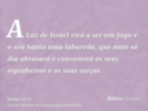 A Luz de Israel virá a ser um fogo e o seu Santo uma labareda, que num só dia abrasará e consumirá os seus espinheiros e as suas sarças.