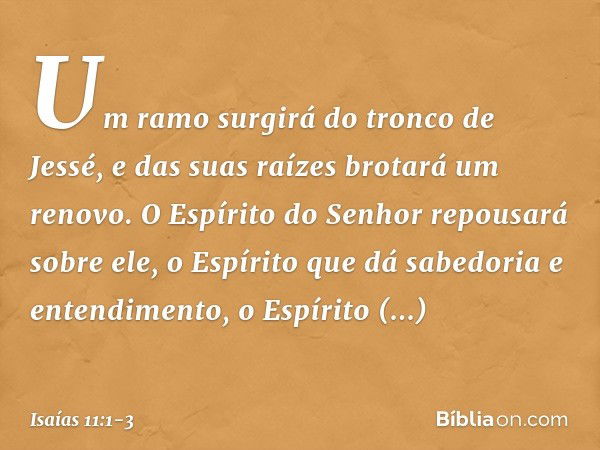 Um ramo surgirá do tronco de Jessé,
e das suas raízes brotará um renovo. O Espírito do Senhor
repousará sobre ele,
o Espírito que dá sabedoria e entendimento,
o