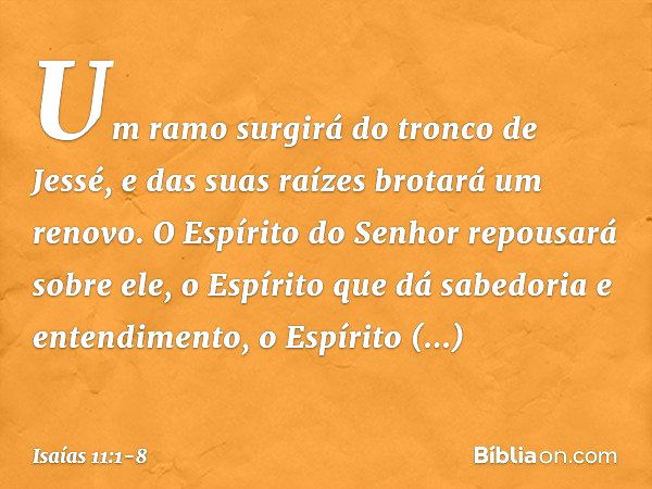 Um ramo surgirá do tronco de Jessé,
e das suas raízes brotará um renovo. O Espírito do Senhor
repousará sobre ele,
o Espírito que dá sabedoria e entendimento,
o