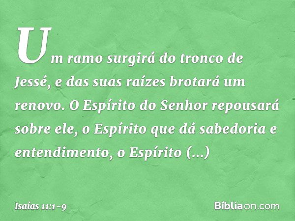 Um ramo surgirá do tronco de Jessé,
e das suas raízes brotará um renovo. O Espírito do Senhor
repousará sobre ele,
o Espírito que dá sabedoria e entendimento,
o