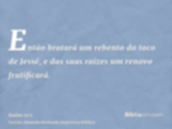 Então brotará um rebento do toco de Jessé, e das suas raízes um renovo frutificará.