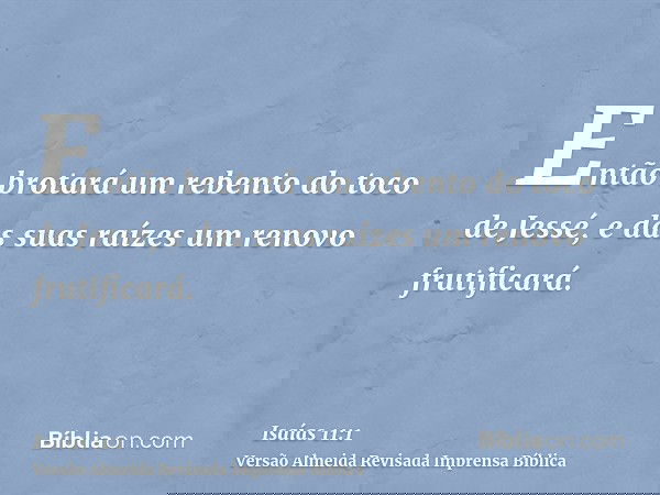 Então brotará um rebento do toco de Jessé, e das suas raízes um renovo frutificará.