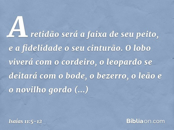 A retidão será a faixa de seu peito,
e a fidelidade o seu cinturão. O lobo viverá com o cordeiro,
o leopardo se deitará com o bode,
o bezerro, o leão e o novilh