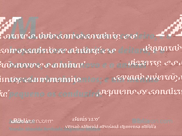 Morará o lobo com o cordeiro, e o leopardo com o cabrito se deitará; e o bezerro, e o leão novo e o animal cevado viverão juntos; e um menino pequeno os conduzi