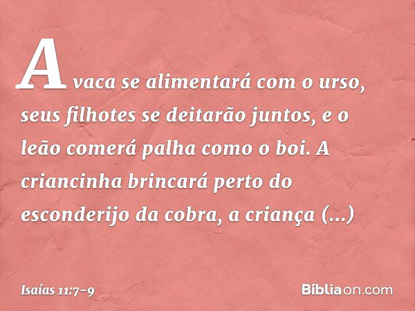 A vaca se alimentará com o urso,
seus filhotes se deitarão juntos,
e o leão comerá palha como o boi. A criancinha brincará
perto do esconderijo da cobra,
a cria