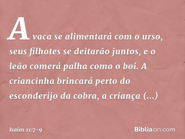 A vaca se alimentará com o urso,
seus filhotes se deitarão juntos,
e o leão comerá palha como o boi. A criancinha brincará
perto do esconderijo da cobra,
a cria