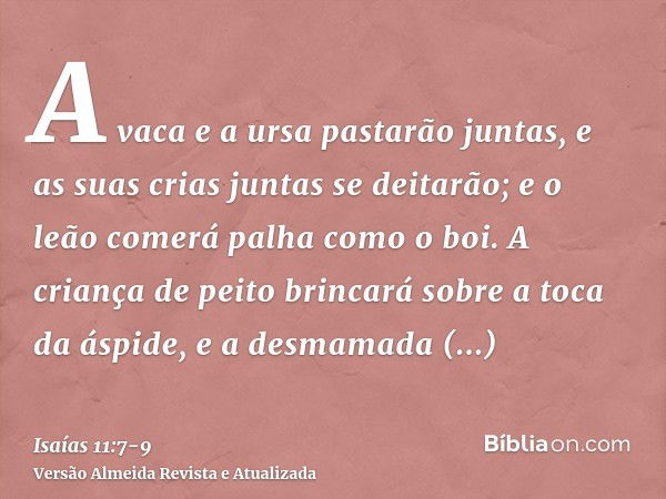 A vaca e a ursa pastarão juntas, e as suas crias juntas se deitarão; e o leão comerá palha como o boi.A criança de peito brincará sobre a toca da áspide, e a de