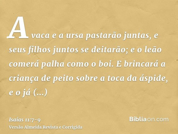 A vaca e a ursa pastarão juntas, e seus filhos juntos se deitarão; e o leão comerá palha como o boi.E brincará a criança de peito sobre a toca da áspide, e o já