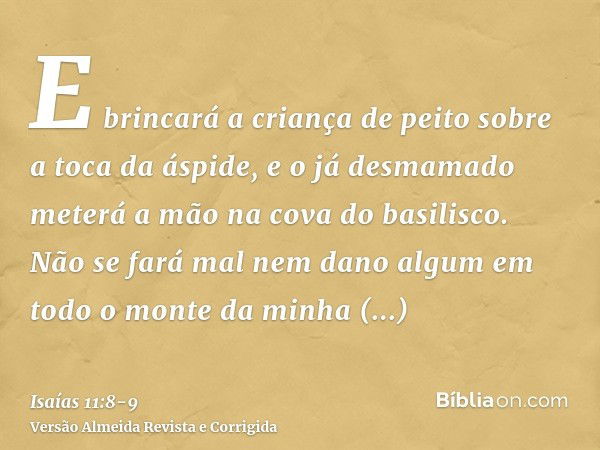 E brincará a criança de peito sobre a toca da áspide, e o já desmamado meterá a mão na cova do basilisco.Não se fará mal nem dano algum em todo o monte da minha