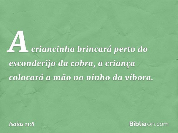 A criancinha brincará
perto do esconderijo da cobra,
a criança colocará a mão
no ninho da víbora. -- Isaías 11:8