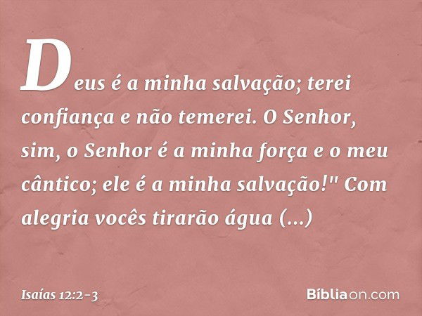 Deus é a minha salvação;
terei confiança e não temerei.
O Senhor, sim, o Senhor
é a minha força e o meu cântico;
ele é a minha salvação!" Com alegria vocês tira