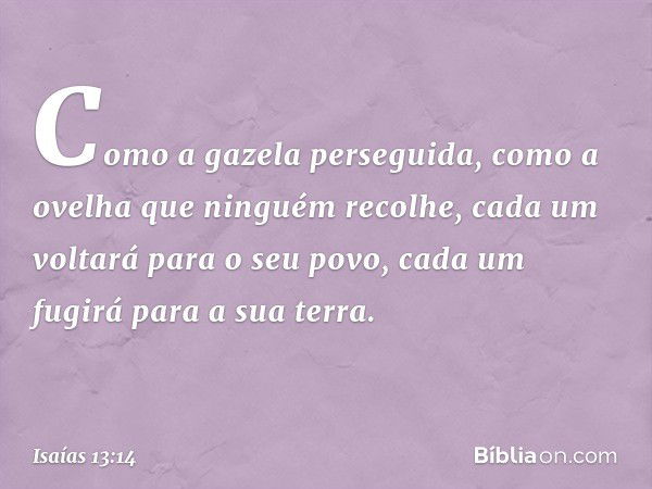 Como a gazela perseguida,
como a ovelha que ninguém recolhe,
cada um voltará para o seu povo,
cada um fugirá para a sua terra. -- Isaías 13:14