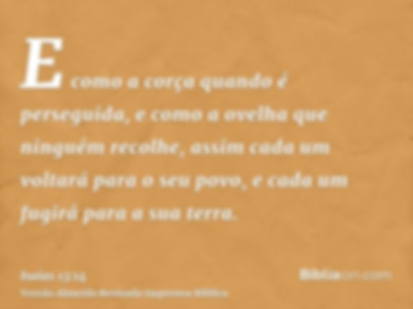 E como a corça quando é perseguida, e como a ovelha que ninguém recolhe, assim cada um voltará para o seu povo, e cada um fugirá para a sua terra.