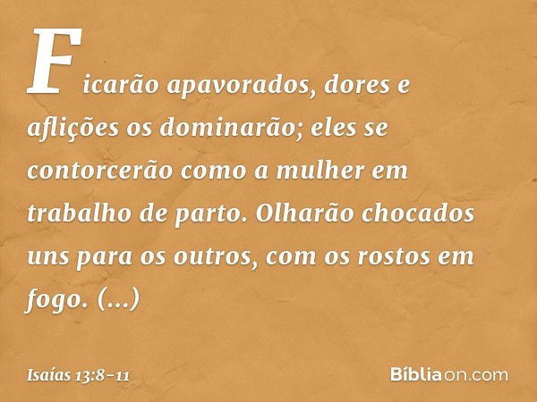 Ficarão apavorados,
dores e aflições os dominarão;
eles se contorcerão como a mulher
em trabalho de parto.
Olharão chocados uns para os outros,
com os rostos em