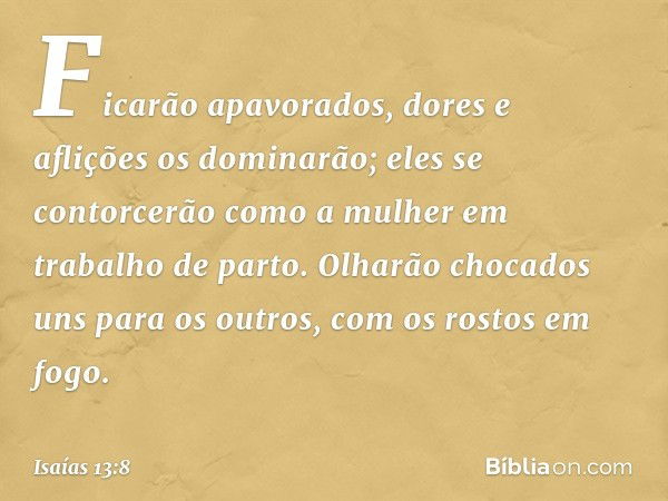 Ficarão apavorados,
dores e aflições os dominarão;
eles se contorcerão como a mulher
em trabalho de parto.
Olharão chocados uns para os outros,
com os rostos em