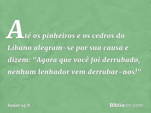 Até os pinheiros e os cedros do Líbano
alegram-se por sua causa e dizem:
"Agora que você foi derrubado,
nenhum lenhador vem derrubar-nos!" -- Isaías 14:8