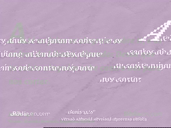 Até as faias se alegram sobre ti, e os cedros do Líbano, dizendo: Desde que tu caiste ninguém sobe contra nós para nos cortar.