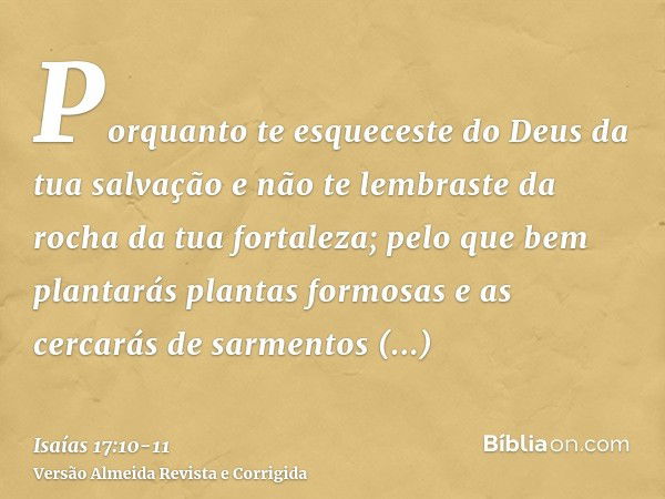 Porquanto te esqueceste do Deus da tua salvação e não te lembraste da rocha da tua fortaleza; pelo que bem plantarás plantas formosas e as cercarás de sarmentos