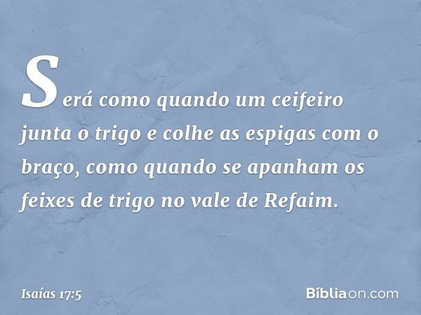 Será como quando
um ceifeiro junta o trigo
e colhe as espigas com o braço,
como quando se apanham
os feixes de trigo
no vale de Refaim. -- Isaías 17:5