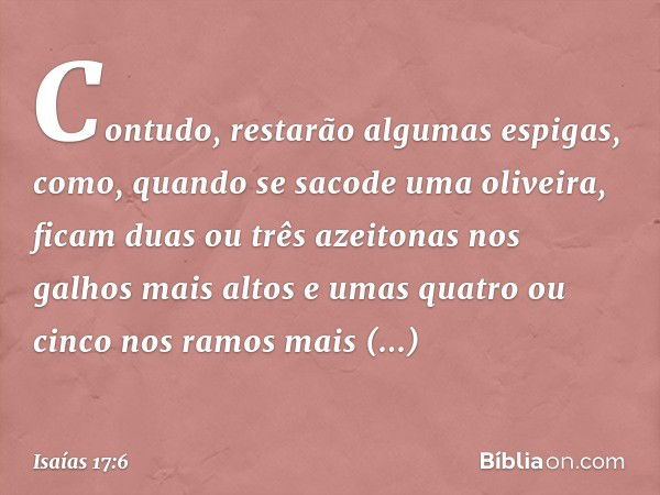 Contudo, restarão algumas espigas,
como, quando se sacode uma oliveira,
ficam duas ou três azeitonas
nos galhos mais altos
e umas quatro ou cinco
nos ramos mais