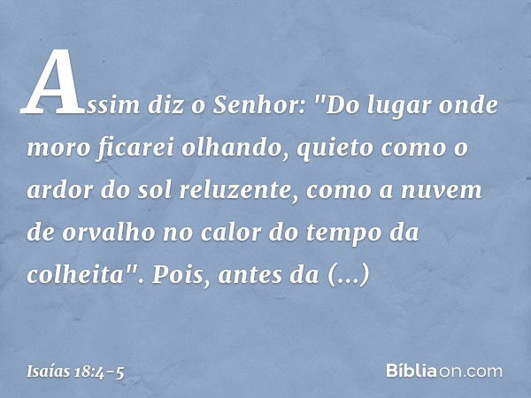 Assim diz o Senhor:
"Do lugar onde moro
ficarei olhando, quieto
como o ardor do sol reluzente,
como a nuvem de orvalho
no calor do tempo da colheita". Pois, ant