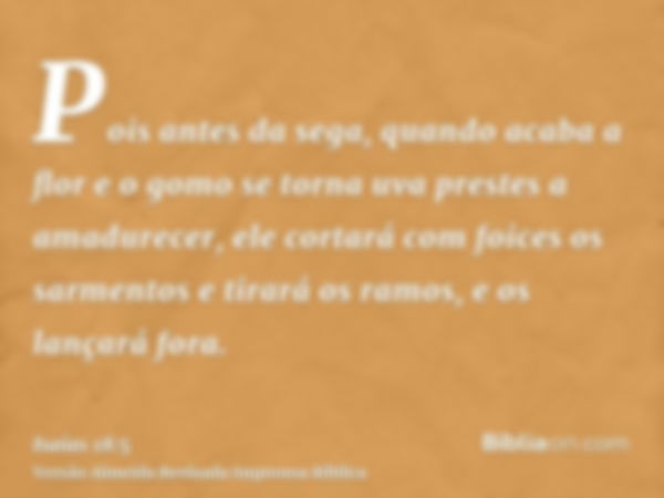 Pois antes da sega, quando acaba a flor e o gomo se torna uva prestes a amadurecer, ele cortará com foices os sarmentos e tirará os ramos, e os lançará fora.