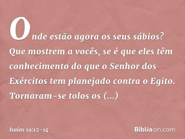 Onde estão agora os seus sábios?
Que mostrem a vocês,
se é que eles têm conhecimento
do que o Senhor dos Exércitos
tem planejado contra o Egito. Tornaram-se tol