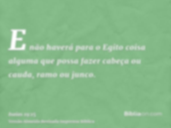 E não haverá para o Egito coisa alguma que possa fazer cabeça ou cauda, ramo ou junco.