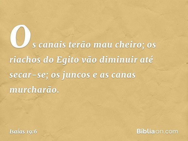 Os canais terão mau cheiro;
os riachos do Egito
vão diminuir até secar-se;
os juncos e as canas murcharão. -- Isaías 19:6