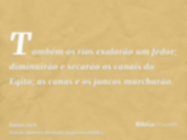 Também os rios exalarão um fedor; diminuirão e secarão os canais do Egito; as canas e os juncos murcharão.