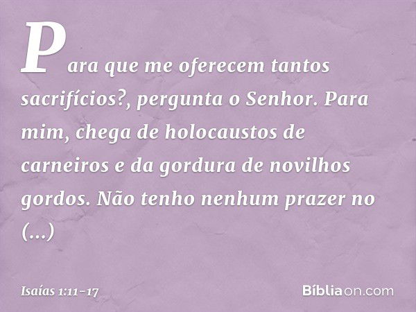 "Para que me oferecem
tantos sacrifícios?",
pergunta o Senhor.
"Para mim, chega de holocaustos de carneiros
e da gordura de novilhos gordos.
Não tenho nenhum pr