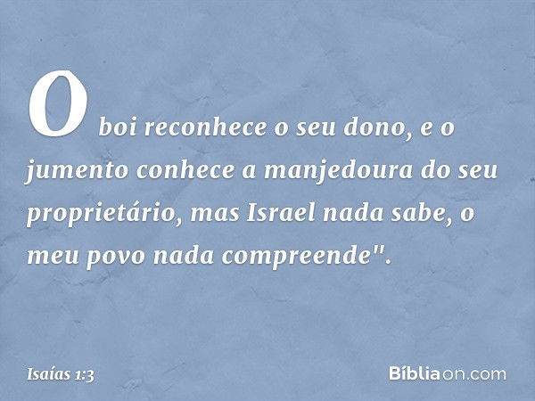 O boi reconhece o seu dono,
e o jumento conhece a manjedoura
do seu proprietário,
mas Israel nada sabe,
o meu povo nada compreende". -- Isaías 1:3