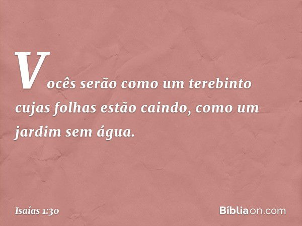 Vocês serão como um terebinto
cujas folhas estão caindo,
como um jardim sem água. -- Isaías 1:30