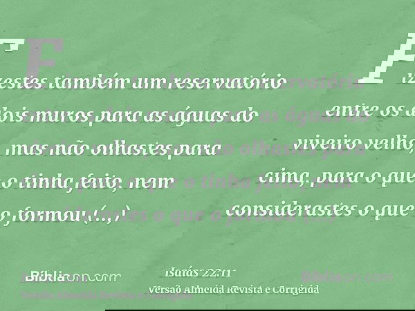 Fizestes também um reservatório entre os dois muros para as águas do viveiro velho, mas não olhastes para cima, para o que o tinha feito, nem considerastes o qu