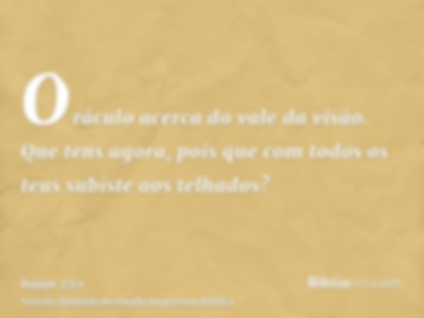 Oráculo acerca do vale da visão. Que tens agora, pois que com todos os teus subiste aos telhados?