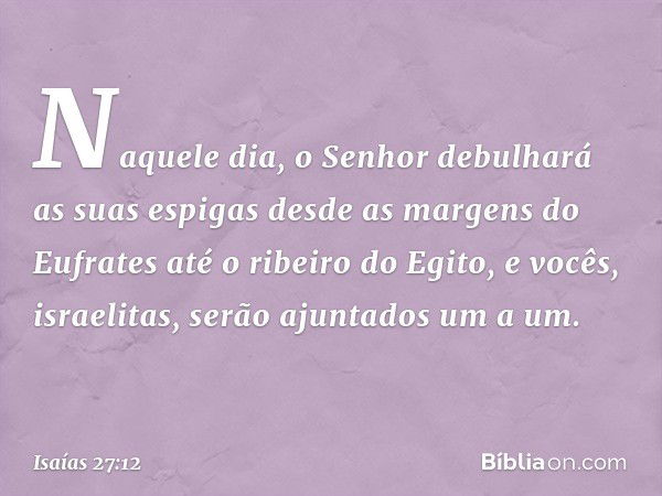 Naquele dia, o Senhor debulhará as suas espigas desde as margens do Eufrates até o ribeiro do Egito, e vocês, israelitas, serão ajuntados um a um. -- Isaías 27: