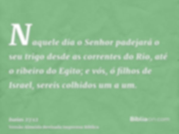 Naquele dia o Senhor padejará o seu trigo desde as correntes do Rio, até o ribeiro do Egito; e vós, ó filhos de Israel, sereis colhidos um a um.