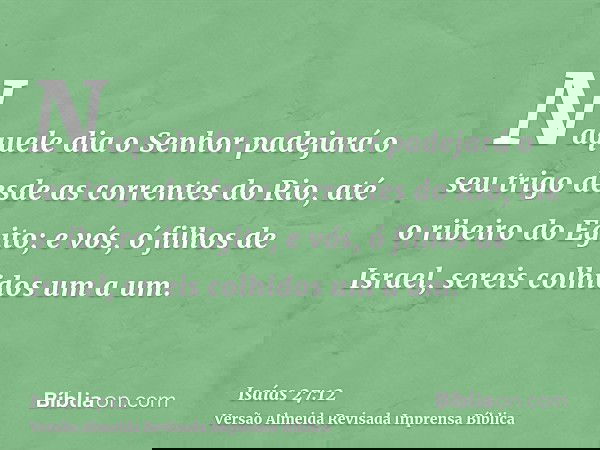 Naquele dia o Senhor padejará o seu trigo desde as correntes do Rio, até o ribeiro do Egito; e vós, ó filhos de Israel, sereis colhidos um a um.