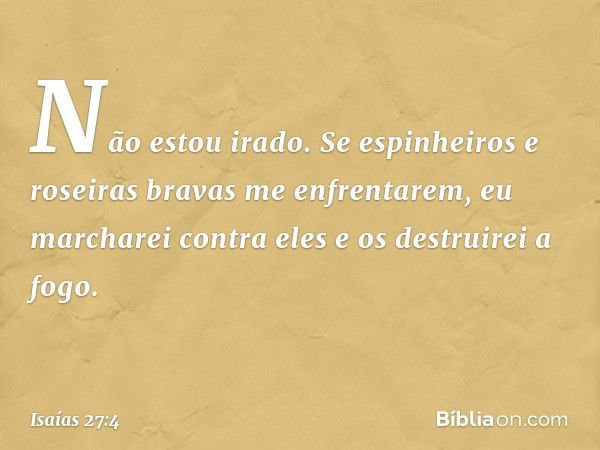 Não estou irado.
Se espinheiros e roseiras bravas
me enfrentarem,
eu marcharei contra eles
e os destruirei a fogo. -- Isaías 27:4