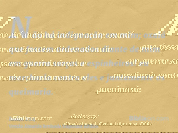 Não há indignação em mim; oxalá que fossem ordenados diante de mim em guerra sarças e espinheiros! eu marcharia contra eles e juntamente os queimaria.